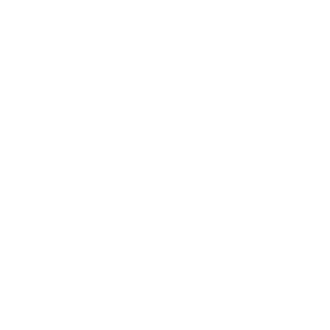 Machine Gun Tours