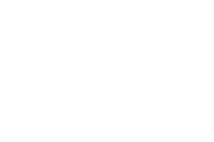 Sig Sauer