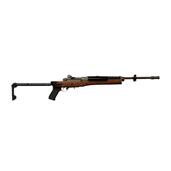 Ruger-AC-556.jpg