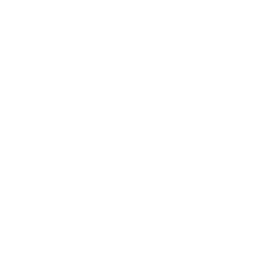 Gunsmithing
